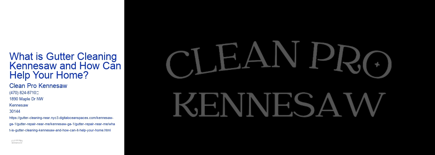 What is Gutter Cleaning Kennesaw and How Can It Help Your Home? 