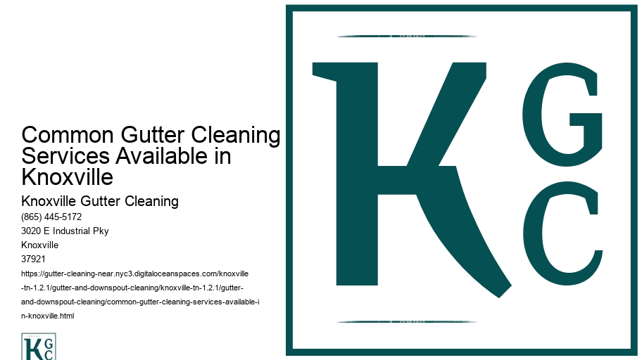 Common Gutter Cleaning Services Available in Knoxville 
