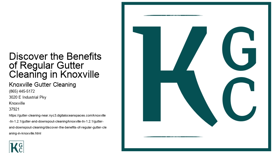 Discover the Benefits of Regular Gutter Cleaning in Knoxville 