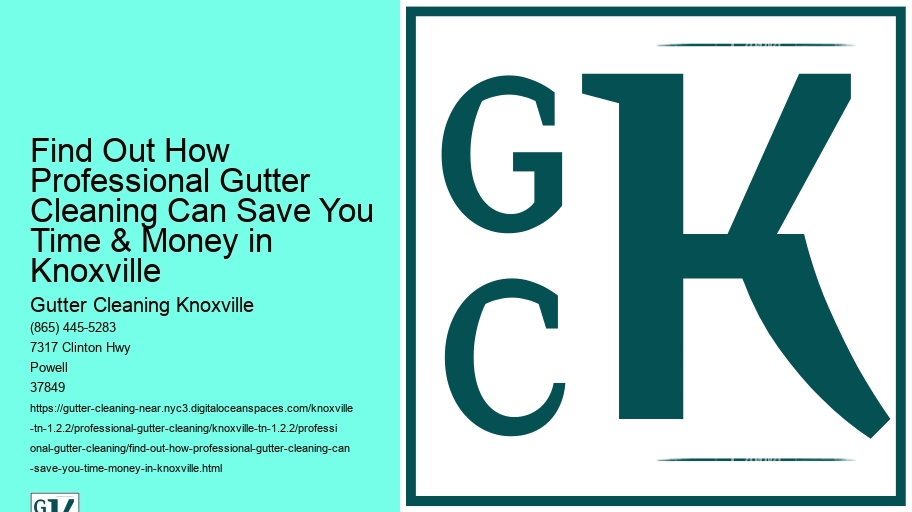 Find Out How Professional Gutter Cleaning Can Save You Time & Money in Knoxville