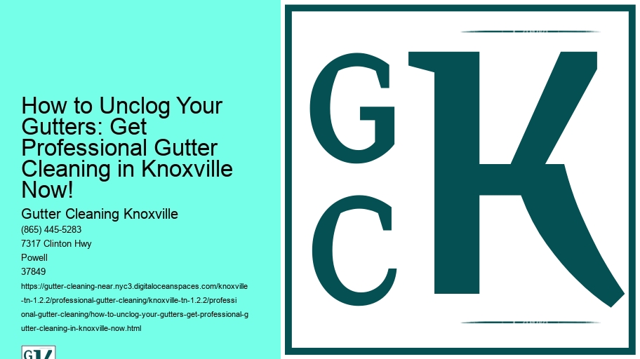 How to Unclog Your Gutters: Get Professional Gutter Cleaning in Knoxville Now!