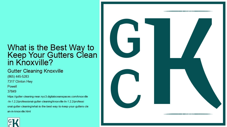 What is the Best Way to Keep Your Gutters Clean in Knoxville? 