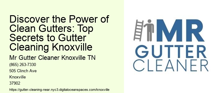 Discover the Power of Clean Gutters: Top Secrets to Gutter Cleaning Knoxville