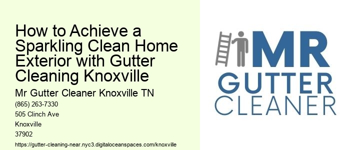 How to Achieve a Sparkling Clean Home Exterior with Gutter Cleaning Knoxville 