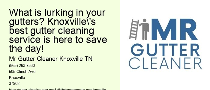 What is lurking in your gutters? Knoxville's best gutter cleaning service is here to save the day!