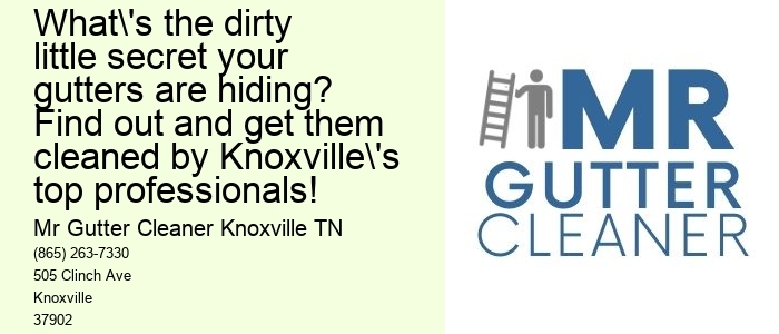 What's the dirty little secret your gutters are hiding? Find out and get them cleaned by Knoxville's top professionals!