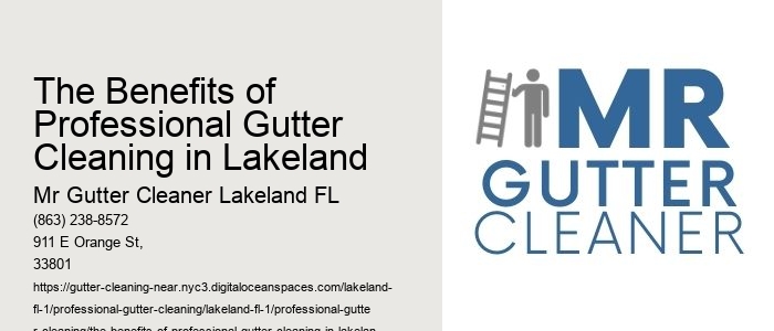The Benefits of Professional Gutter Cleaning in Lakeland 
