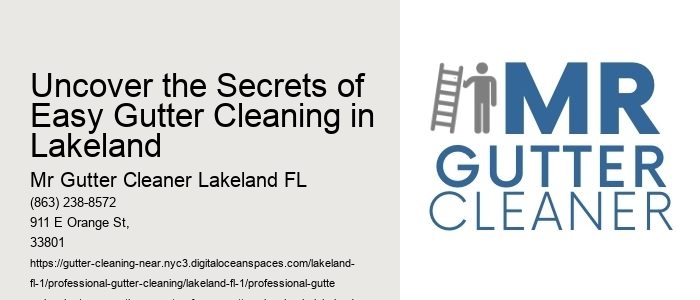 Uncover the Secrets of Easy Gutter Cleaning in Lakeland