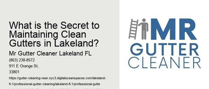 What is the Secret to Maintaining Clean Gutters in Lakeland? 