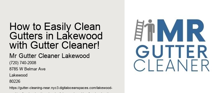 How to Easily Clean Gutters in Lakewood with Gutter Cleaner! 
