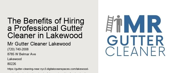 The Benefits of Hiring a Professional Gutter Cleaner in Lakewood