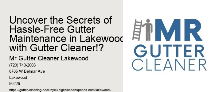 Uncover the Secrets of Hassle-Free Gutter Maintenance in Lakewood with Gutter Cleaner!?