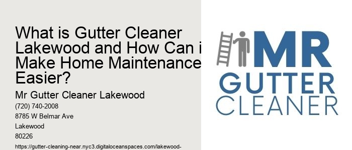 What is Gutter Cleaner Lakewood and How Can it Make Home Maintenance Easier? 