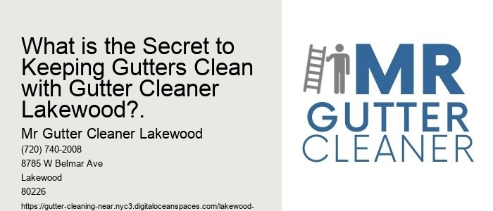 What is the Secret to Keeping Gutters Clean with Gutter Cleaner Lakewood?.