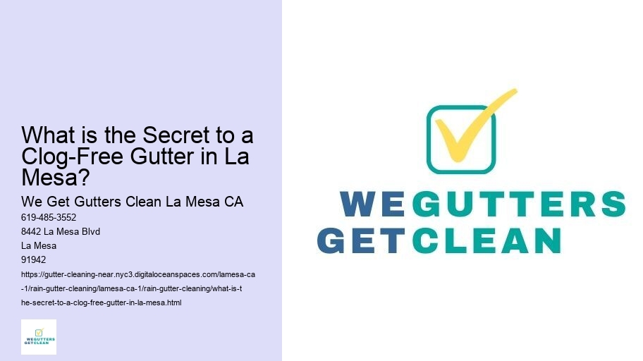 What is the Secret to a Clog-Free Gutter in La Mesa? 