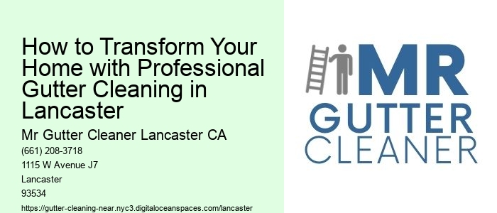 How to Transform Your Home with Professional Gutter Cleaning in Lancaster 