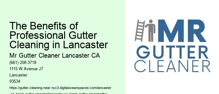 The Benefits of Professional Gutter Cleaning in Lancaster 