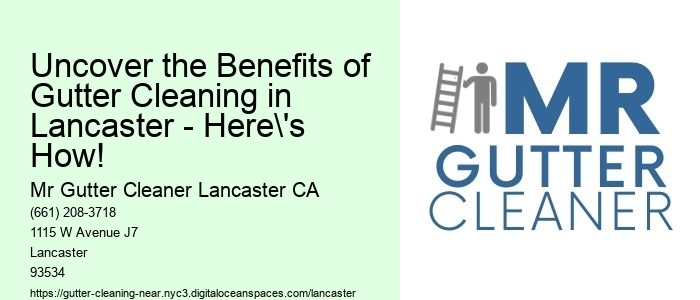 Uncover the Benefits of Gutter Cleaning in Lancaster - Here's How!