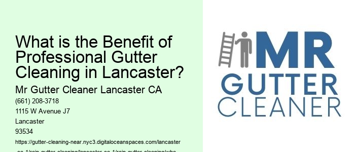 What is the Benefit of Professional Gutter Cleaning in Lancaster?