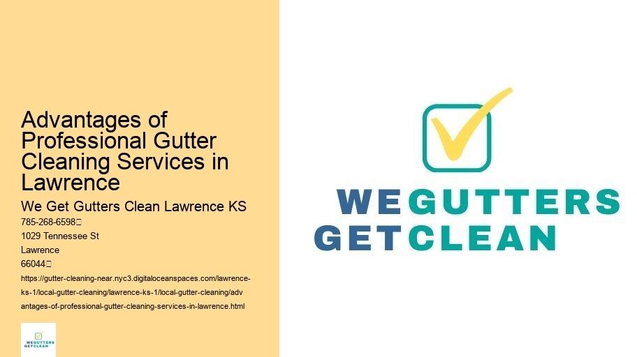 Advantages of Professional Gutter Cleaning Services in Lawrence 