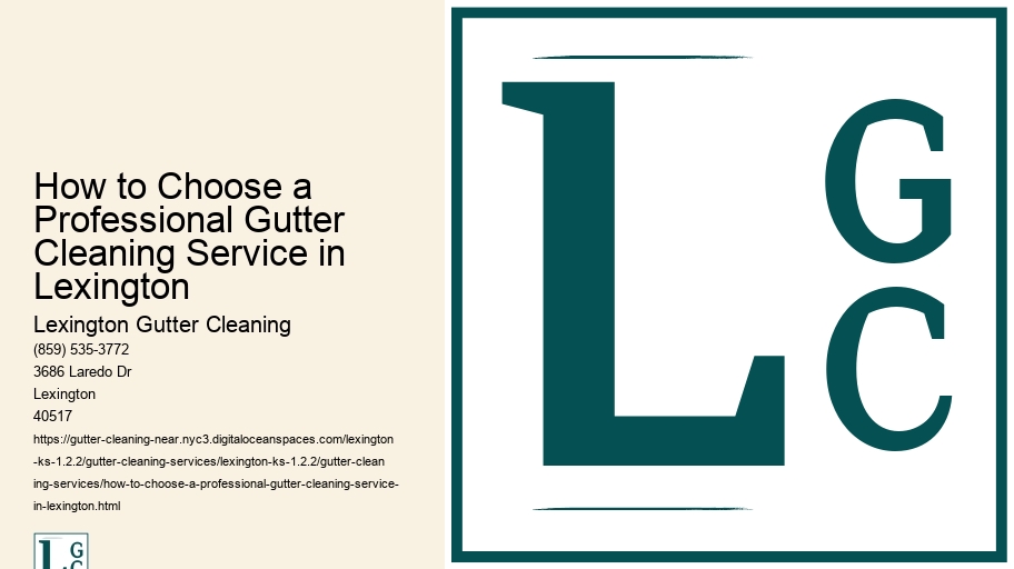 How to Choose a Professional Gutter Cleaning Service in Lexington 