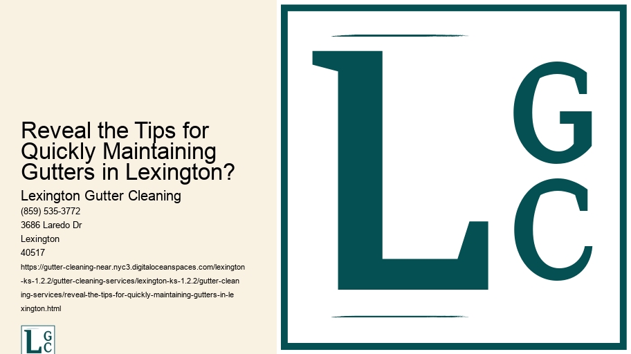 Reveal the Tips for Quickly Maintaining Gutters in Lexington?