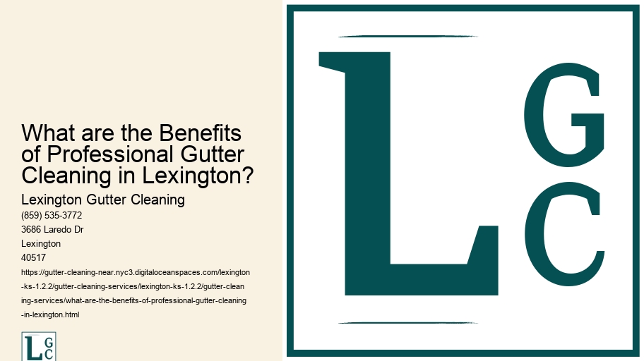 What are the Benefits of Professional Gutter Cleaning in Lexington?