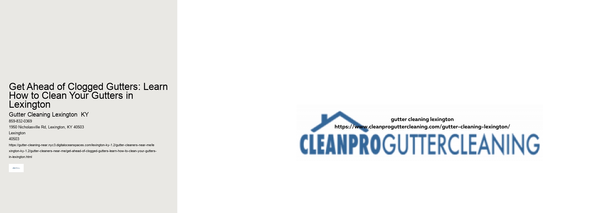 Get Ahead of Clogged Gutters: Learn How to Clean Your Gutters in Lexington 