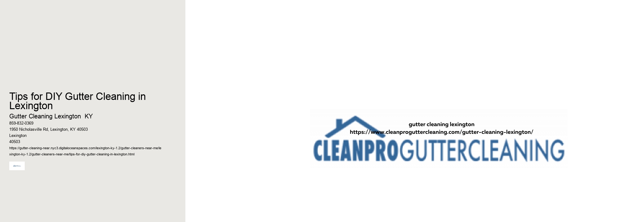 Tips for DIY Gutter Cleaning in Lexington 