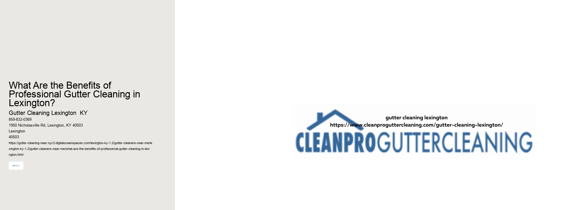 What Are the Benefits of Professional Gutter Cleaning in Lexington?
