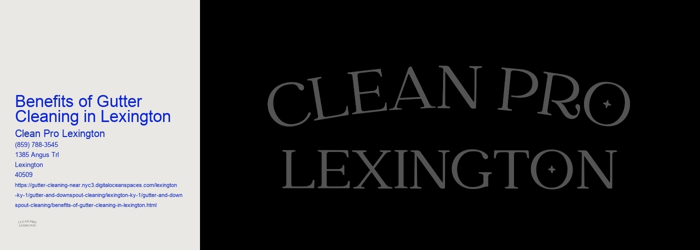 Benefits of Gutter Cleaning in Lexington 