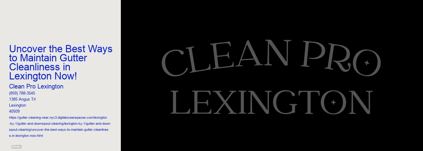 Uncover the Best Ways to Maintain Gutter Cleanliness in Lexington Now!