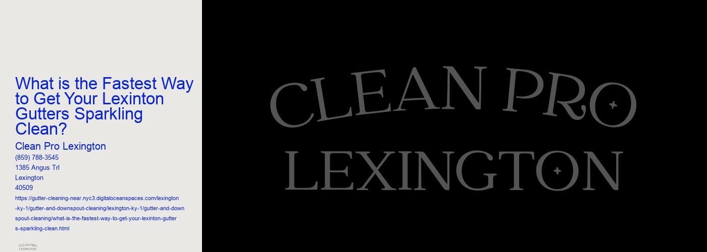 What is the Fastest Way to Get Your Lexinton Gutters Sparkling Clean?