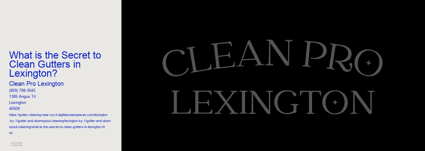 What is the Secret to Clean Gutters in Lexington? 
