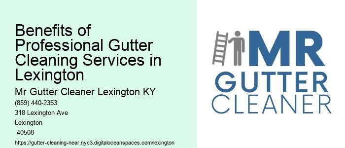 Benefits of Professional Gutter Cleaning Services in Lexington 