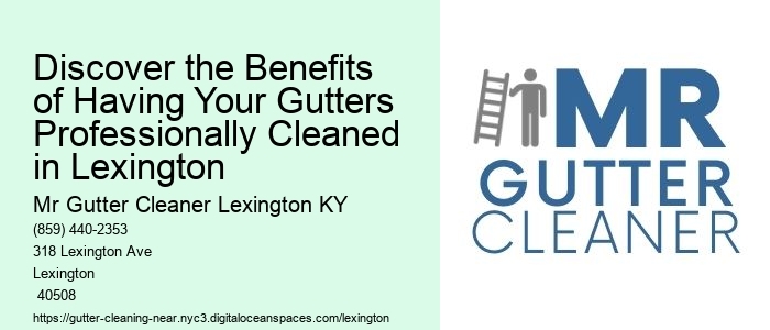 Discover the Benefits of Having Your Gutters Professionally Cleaned in Lexington
