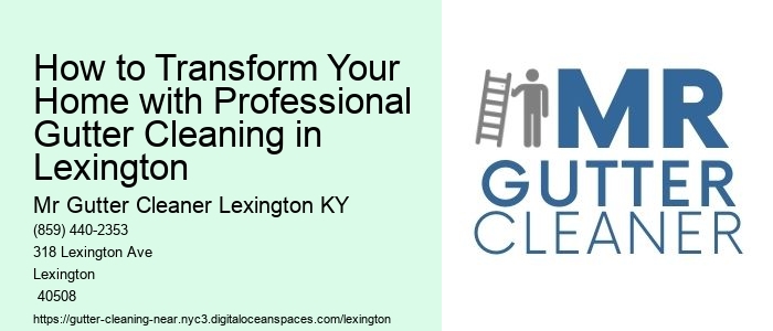 How to Transform Your Home with Professional Gutter Cleaning in Lexington 