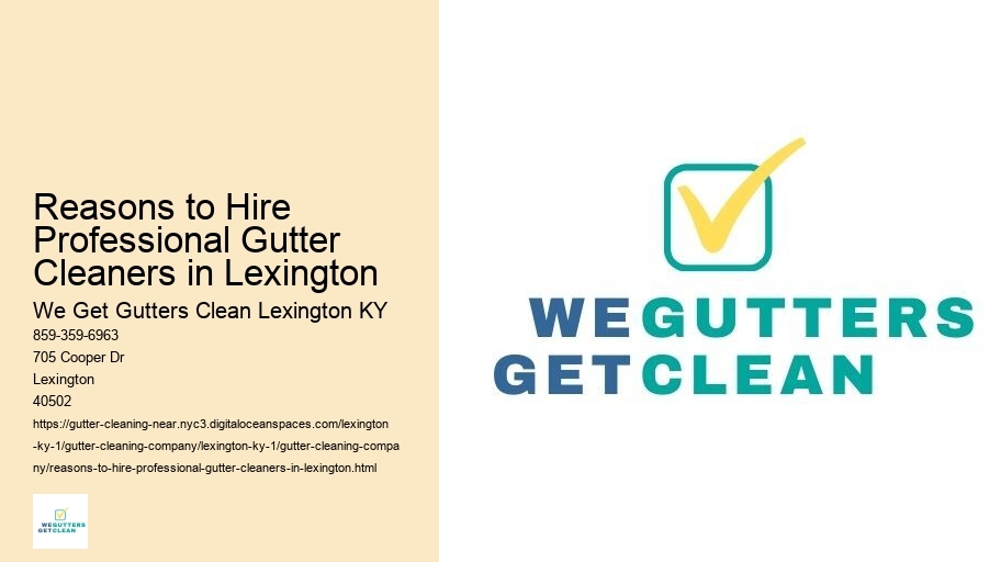 Reasons to Hire Professional Gutter Cleaners in Lexington 