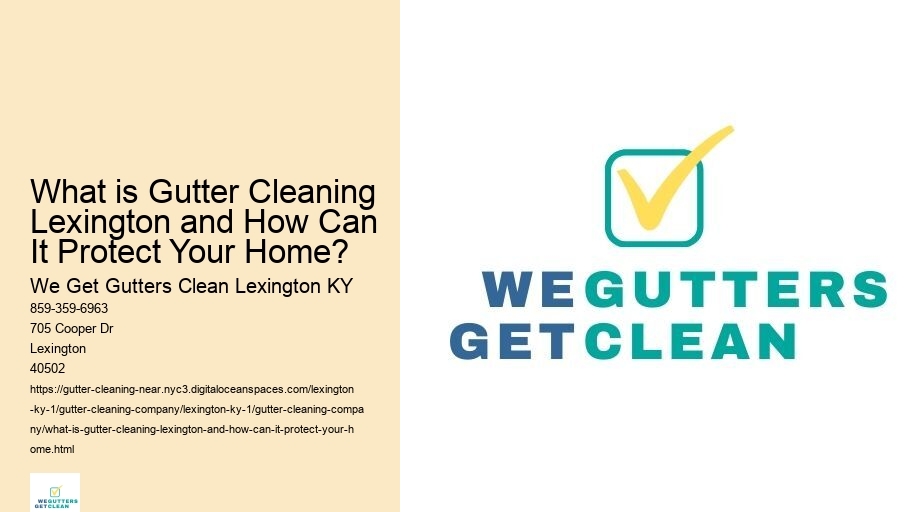 What is Gutter Cleaning Lexington and How Can It Protect Your Home?
