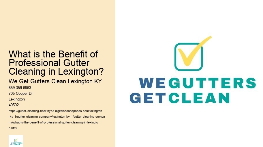 What is the Benefit of Professional Gutter Cleaning in Lexington?