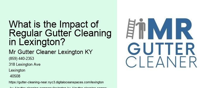 What is the Impact of Regular Gutter Cleaning in Lexington?
