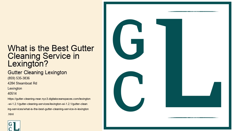 What is the Best Gutter Cleaning Service in Lexington? 