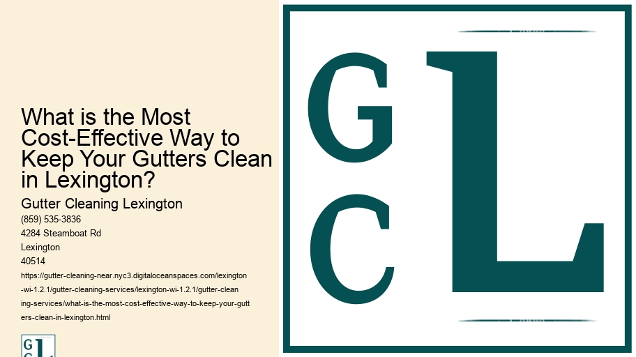 What is the Most Cost-Effective Way to Keep Your Gutters Clean in Lexington?