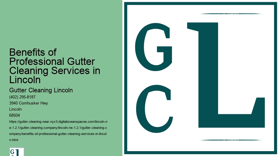 Benefits of Professional Gutter Cleaning Services in Lincoln 