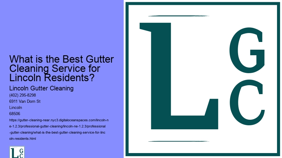 What is the Best Gutter Cleaning Service for Lincoln Residents? 