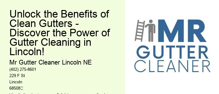 Unlock the Benefits of Clean Gutters - Discover the Power of Gutter Cleaning in Lincoln!
