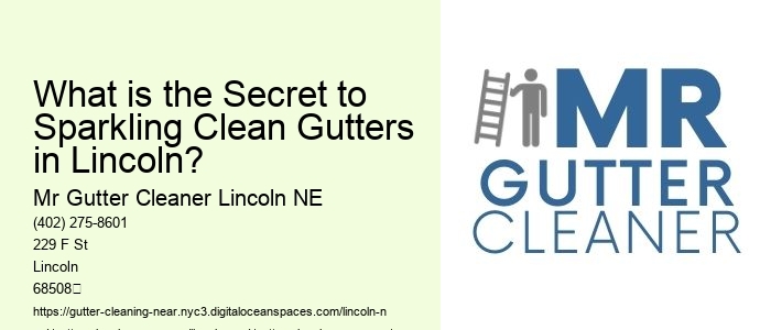 What is the Secret to Sparkling Clean Gutters in Lincoln? 