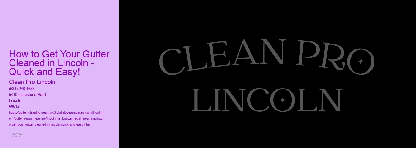 How to Get Your Gutter Cleaned in Lincoln - Quick and Easy!