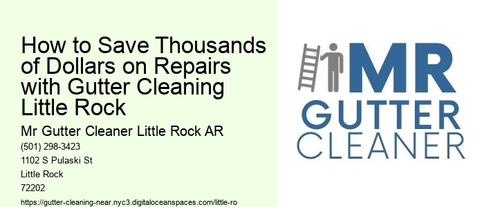 How to Save Thousands of Dollars on Repairs with Gutter Cleaning Little Rock