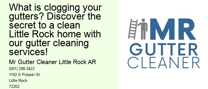 What is clogging your gutters? Discover the secret to a clean Little Rock home with our gutter cleaning services!